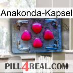 Anaconda Capsule 13